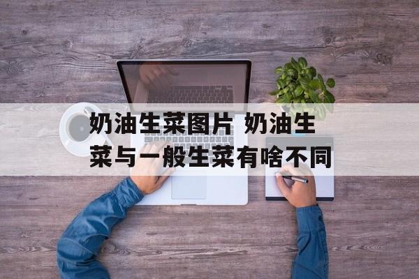 奶油生菜图片 奶油生菜与一般生菜有啥不同-第1张图片-