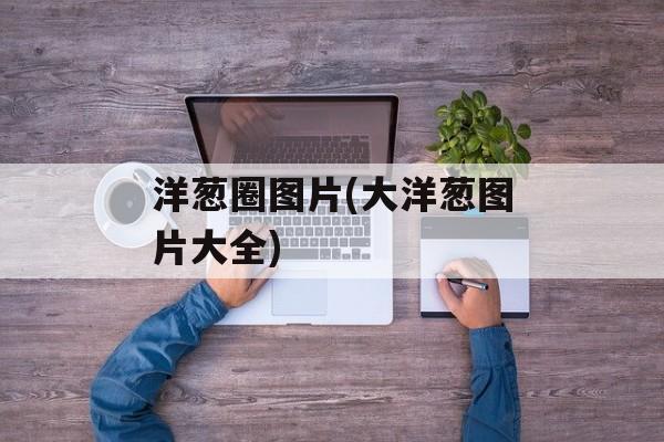 洋葱圈图片(大洋葱图片大全)-第1张图片-
