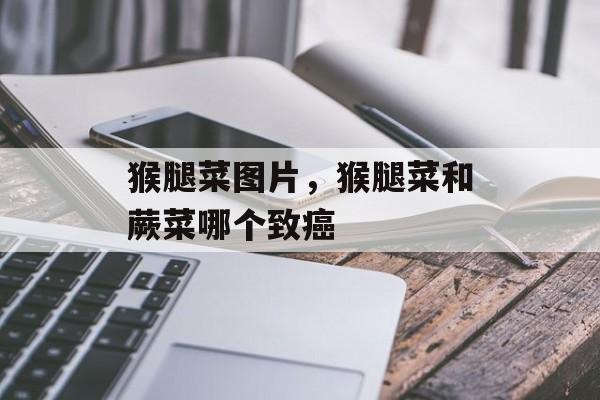 猴腿菜图片，猴腿菜和蕨菜哪个致癌-第1张图片-