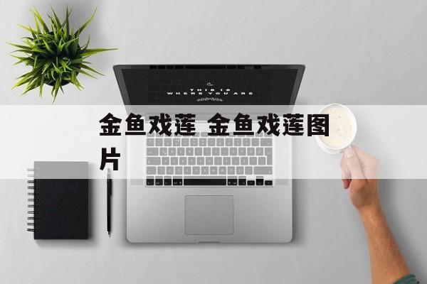 金鱼戏莲 金鱼戏莲图片-第1张图片-