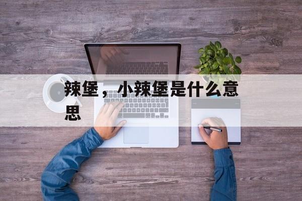 辣堡，小辣堡是什么意思-第1张图片-