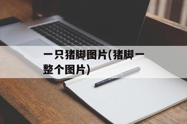 一只猪脚图片(猪脚一整个图片)-第1张图片-