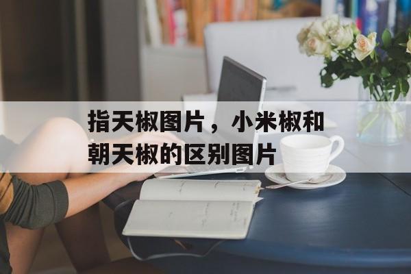 指天椒图片，小米椒和朝天椒的区别图片-第1张图片-