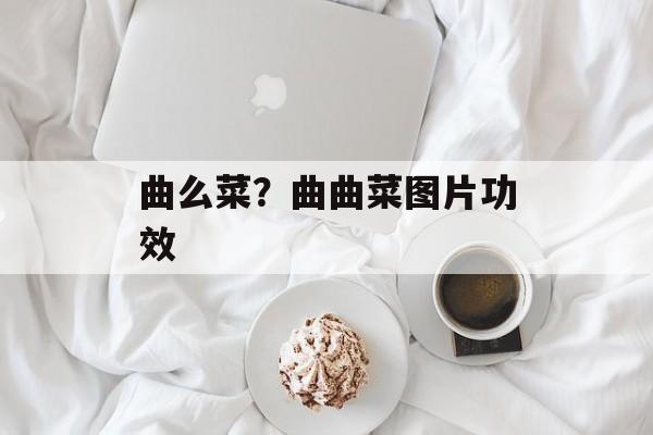 曲么菜？曲曲菜图片功效-第1张图片-
