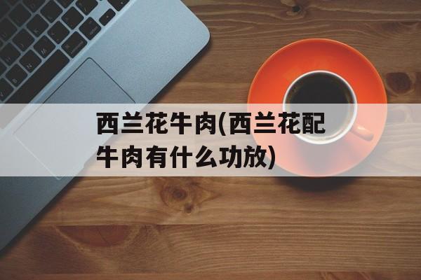 西兰花牛肉(西兰花配牛肉有什么功放)-第1张图片-