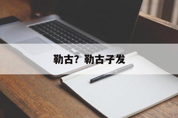 勒古？勒古子发-第1张图片-