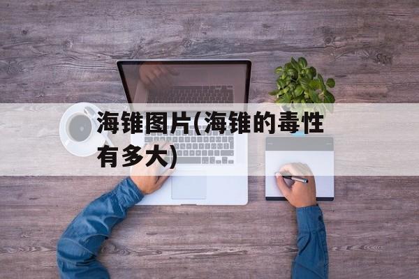 海锥图片(海锥的毒性有多大)-第1张图片-