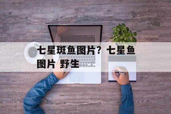 七星斑鱼图片？七星鱼图片 野生-第1张图片-