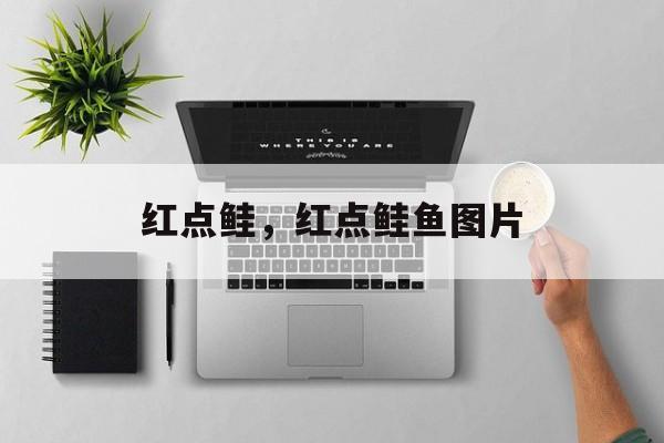 红点鲑，红点鲑鱼图片-第1张图片-