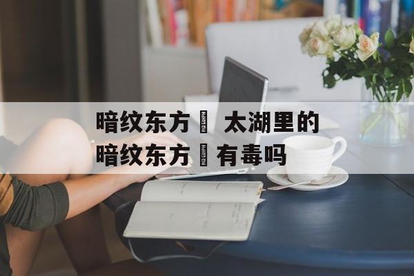 暗纹东方鲀 太湖里的暗纹东方鲀有毒吗-第1张图片-