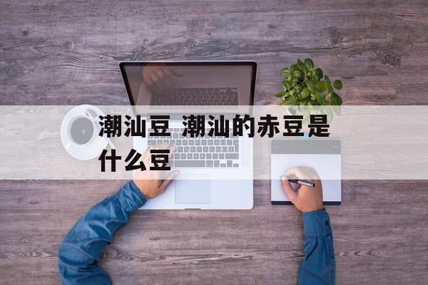 潮汕豆 潮汕的赤豆是什么豆-第1张图片-