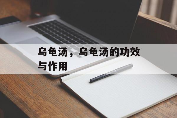 乌龟汤，乌龟汤的功效与作用-第1张图片-