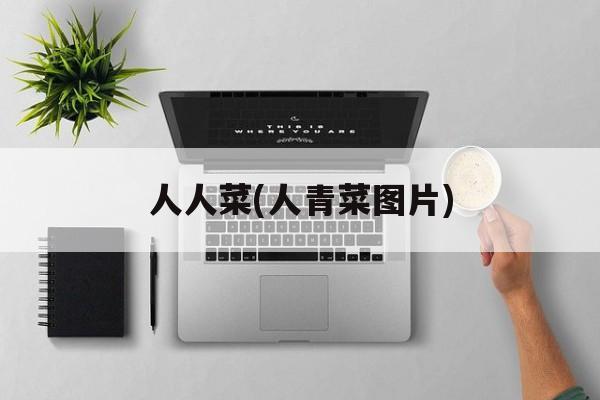 人人菜(人青菜图片)-第1张图片-