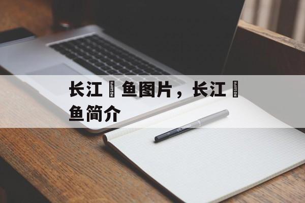 长江鮰鱼图片，长江鮰鱼简介-第1张图片-