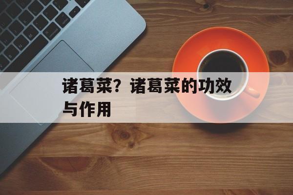 诸葛菜？诸葛菜的功效与作用-第1张图片-