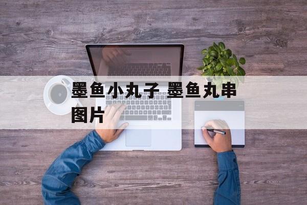 墨鱼小丸子 墨鱼丸串图片-第1张图片-