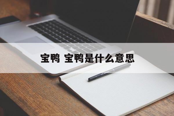 宝鸭 宝鸭是什么意思-第1张图片-