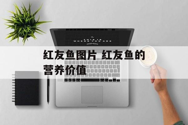 红友鱼图片 红友鱼的营养价值-第1张图片-