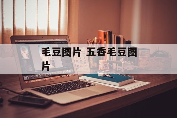 毛豆图片 五香毛豆图片-第1张图片-