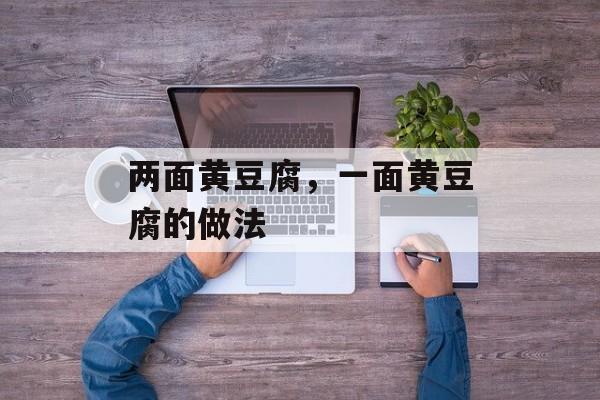 两面黄豆腐，一面黄豆腐的做法-第1张图片-