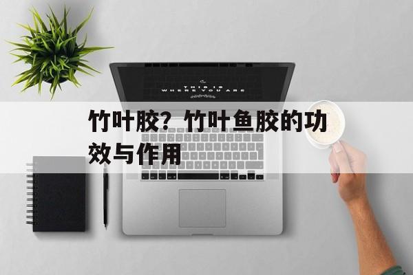 竹叶胶？竹叶鱼胶的功效与作用-第1张图片-