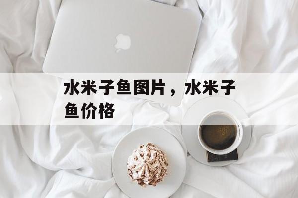 水米子鱼图片，水米子鱼价格-第1张图片-