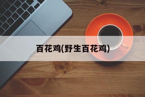 百花鸡(野生百花鸡)-第1张图片-