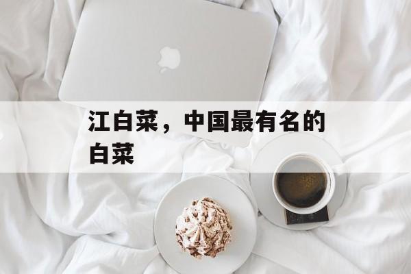 江白菜，中国最有名的白菜-第1张图片-