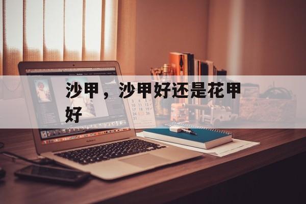 沙甲，沙甲好还是花甲好-第1张图片-