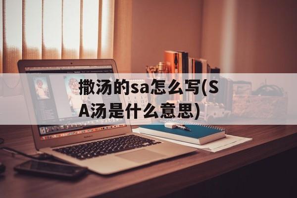 撒汤的sa怎么写(SA汤是什么意思)-第1张图片-