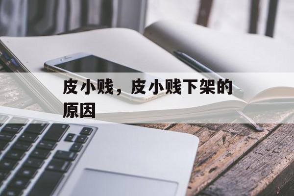 皮小贱，皮小贱下架的原因-第1张图片-