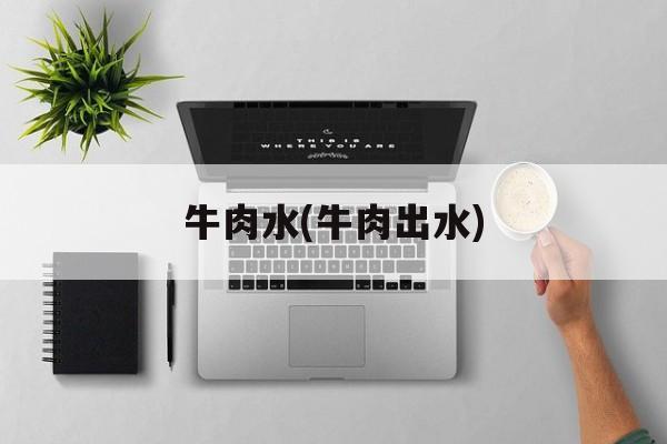 牛肉水(牛肉出水)-第1张图片-