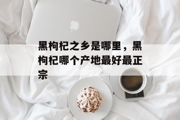 黑枸杞之乡是哪里，黑枸杞哪个产地最好最正宗-第1张图片-