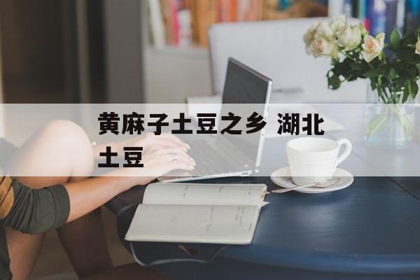 黄麻子土豆之乡 湖北土豆-第1张图片-