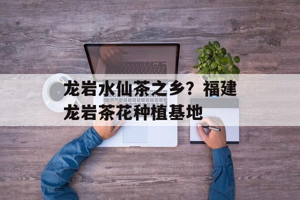 龙岩水仙茶之乡？福建龙岩茶花种植基地-第1张图片-
