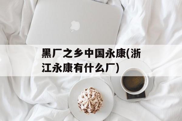 黑厂之乡中国永康(浙江永康有什么厂)-第1张图片-