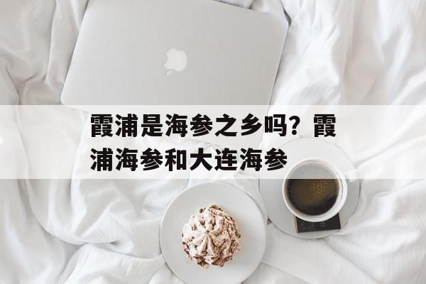 霞浦是海参之乡吗？霞浦海参和大连海参-第1张图片-