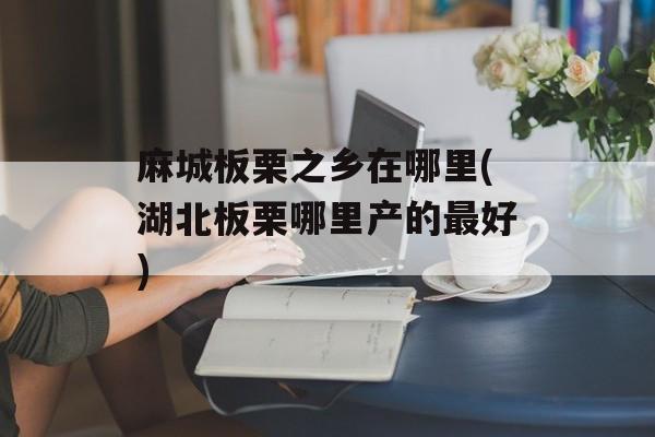 麻城板栗之乡在哪里(湖北板栗哪里产的最好)-第1张图片-