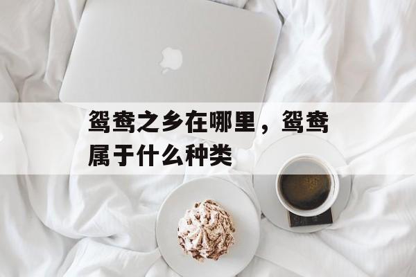 鸳鸯之乡在哪里，鸳鸯属于什么种类-第1张图片-