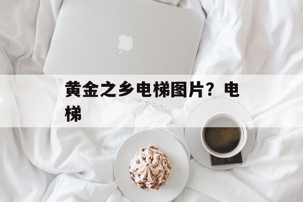 黄金之乡电梯图片？电梯-第1张图片-