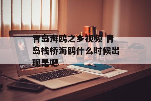 青岛海鸥之乡视频 青岛栈桥海鸥什么时候出现是吧-第1张图片-