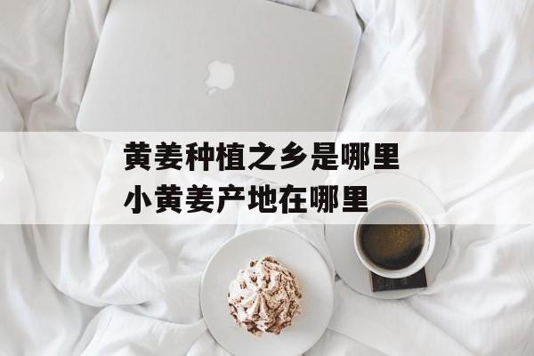 黄姜种植之乡是哪里 小黄姜产地在哪里-第1张图片-