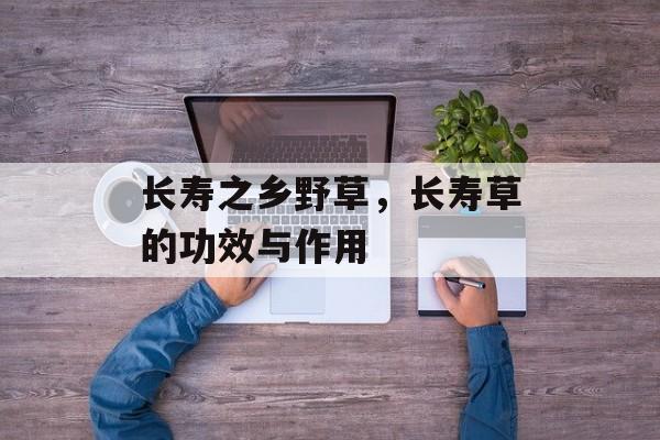 长寿之乡野草，长寿草的功效与作用-第1张图片-