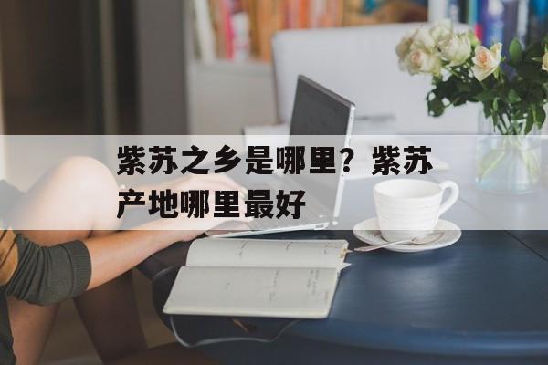 紫苏之乡是哪里？紫苏产地哪里最好-第1张图片-