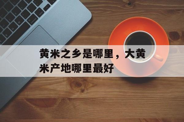 黄米之乡是哪里，大黄米产地哪里最好-第1张图片-