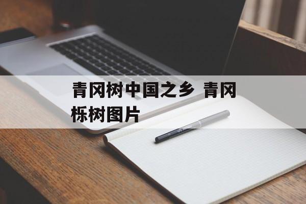 青冈树中国之乡 青冈栎树图片-第1张图片-