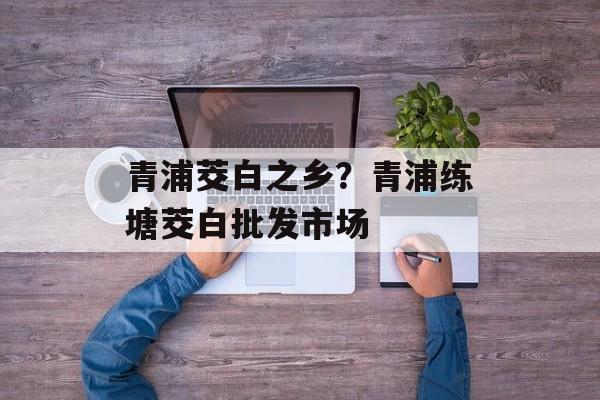 青浦茭白之乡？青浦练塘茭白批发市场-第1张图片-