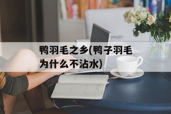 鸭羽毛之乡(鸭子羽毛为什么不沾水)-第1张图片-