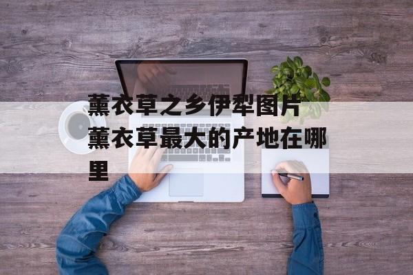 薰衣草之乡伊犁图片 薰衣草最大的产地在哪里-第1张图片-
