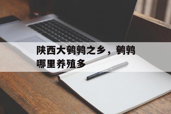 陕西大鹌鹑之乡，鹌鹑哪里养殖多-第1张图片-